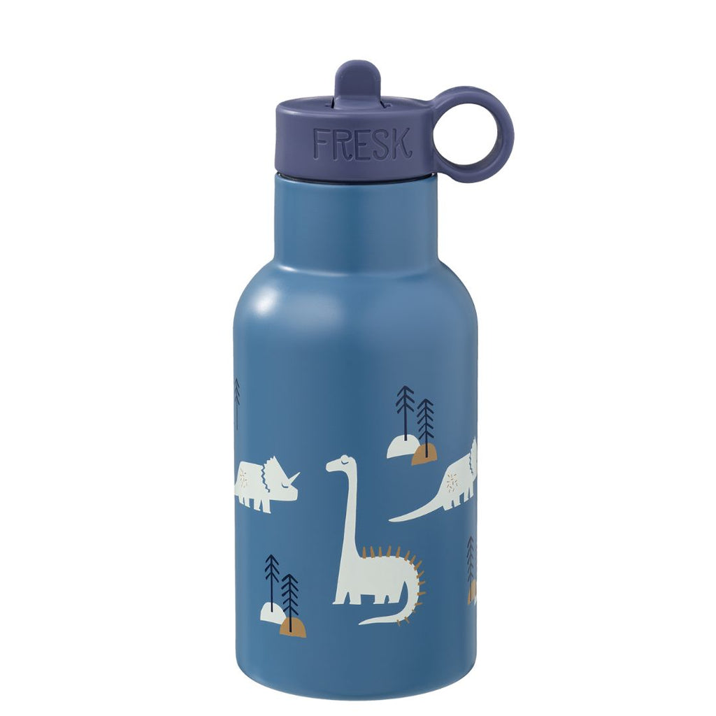 anoxeidoto-sxoliko-pagouri-thermos-mekalamaki-kids-water-bottle-fresk-dino-oneandonlybaby.gr